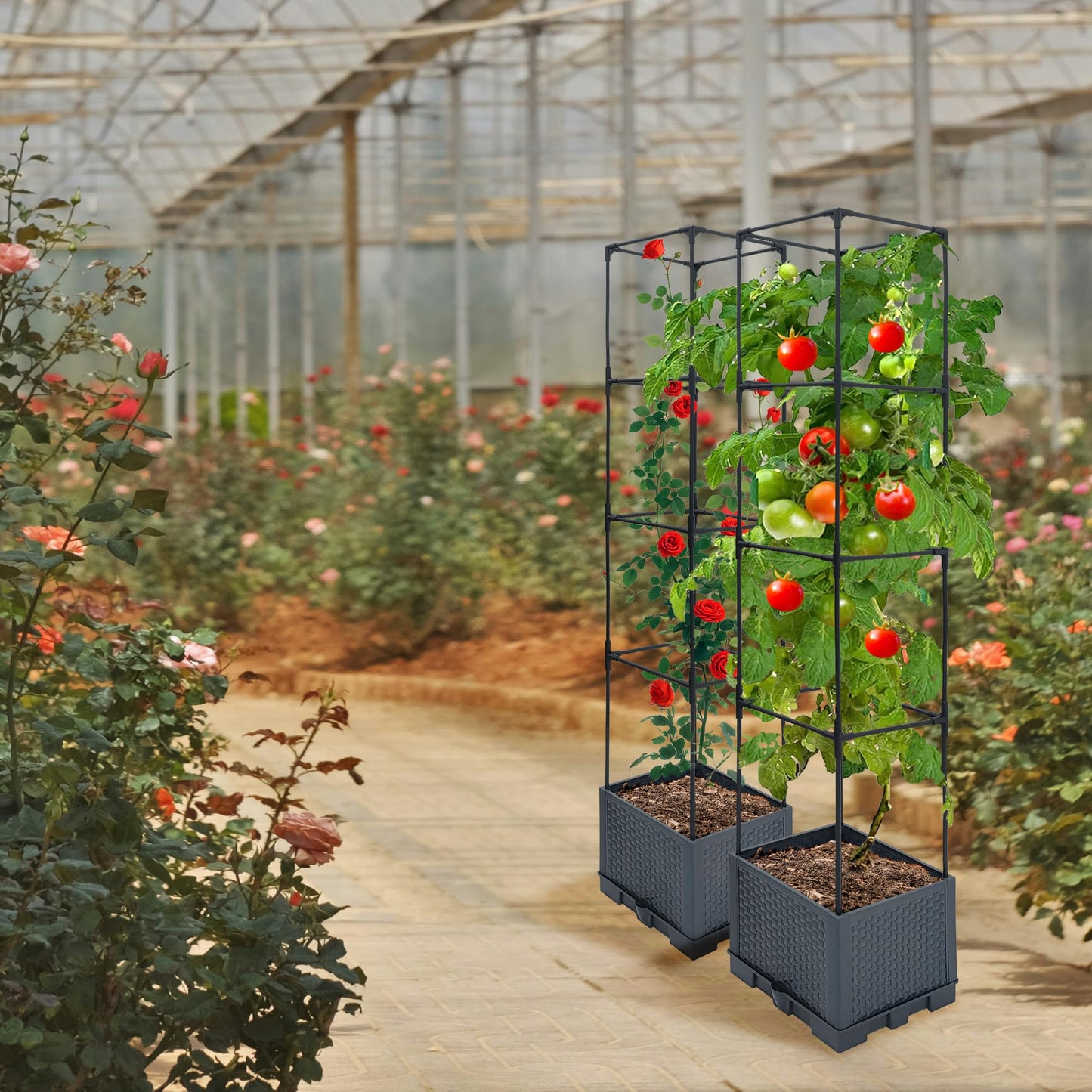 Sumloty Raised Garden Bed Planter Box, 2 Pack 56" Self-Watering Tomato Planter with Trellis for Climbing Vegetables Plants Grape Fruit Flowers,Use for Indoor Outdoor Garden Patio