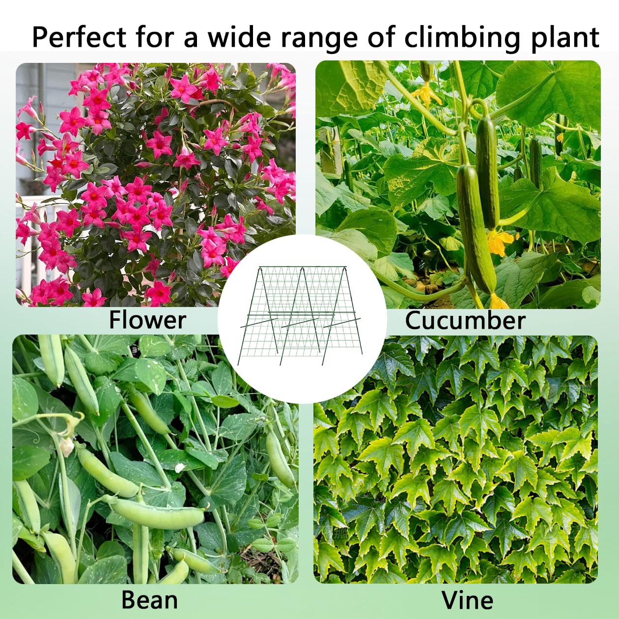 Cucumber Trellis,A-Shape Garden Trellis for Raised Beds with Climbing Net,Plant Support for Climbing Plants Outdoor,47x47inch Metal Vegetables Trellis
