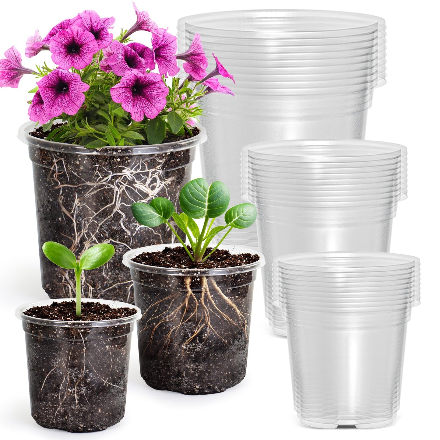 MIXC Clear Nursery Pots with Drainage Holes, 30 Pack 5/4/3.5 Inch Reinforced Transparent Plastic Seed Starter Pots, for Indoor Outdoor Gardening Seedling Planter