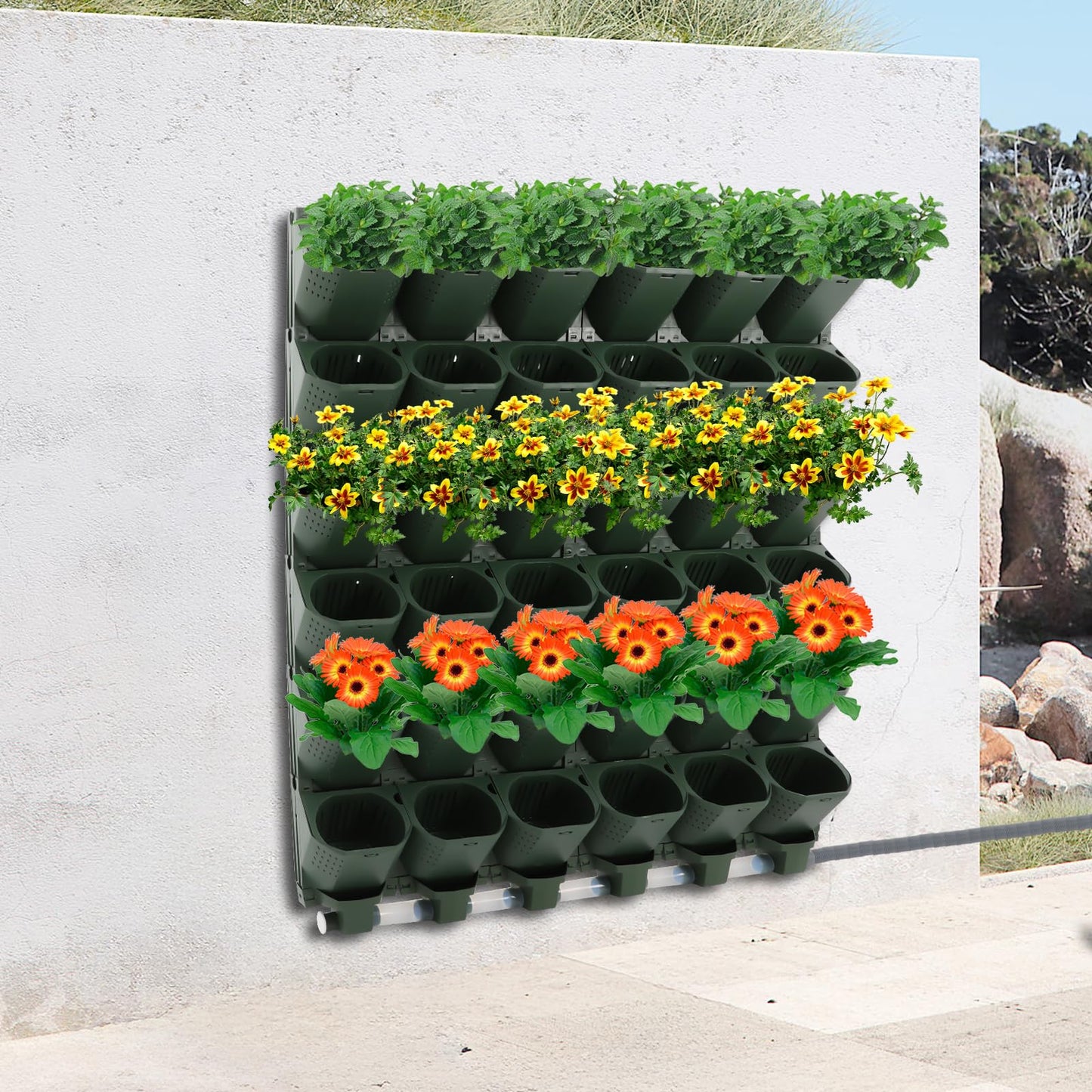 Eypkaol Opjceux 36 Pockets Wall Mounted Vertical Garden Planter, Wall Mounted Self-Watering System with Timer, Automatic Drip Irrigation Kit for Indoor Outdoor Balcony, for Veggies Fruits Flowers