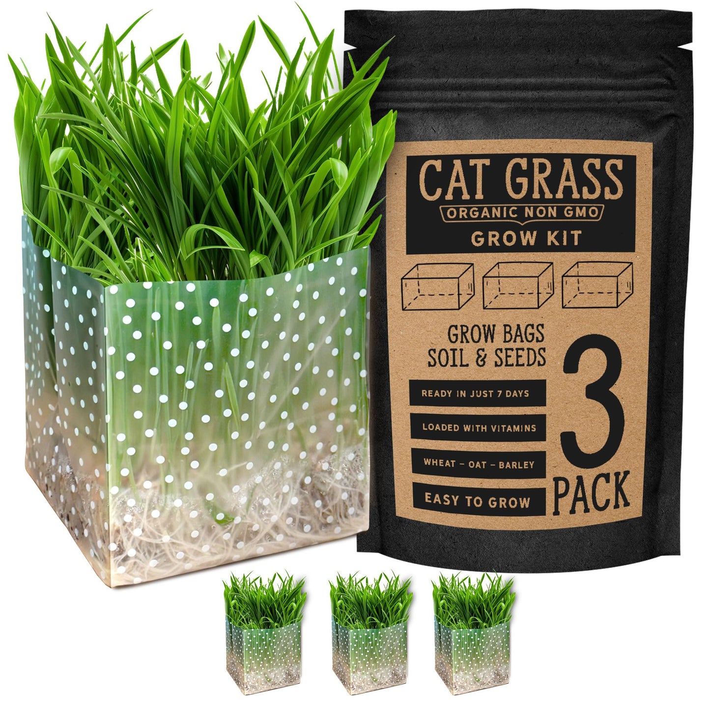 Organic Cat Grass Kit 3 Pack - Polkadot Grow Bags for Indoor Cats | Non GMO Mixed Heirloom Seeds | Wheatgrass - Oat Grass - Barley Grass Blend