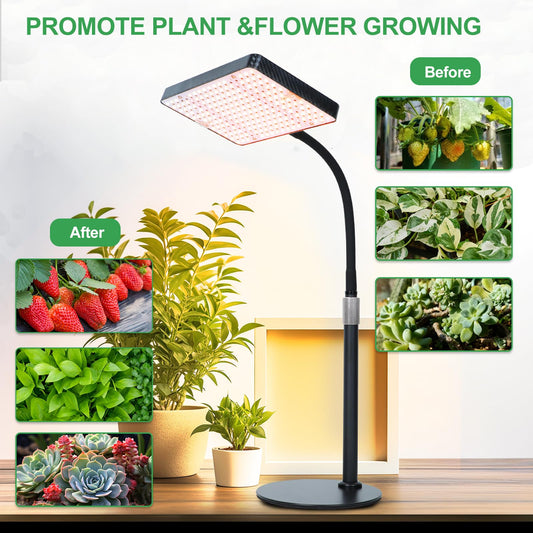 FRGROW 2026 Tabletop Grow Lights for Indoor Plants, Seed Starting, Bonsai, 4/8/12/16/20H Timer, 25 Watt Power Draw, Bright Enough Like A Small Sun, Daisy Chain Function, 16"-24" Height Adjustable