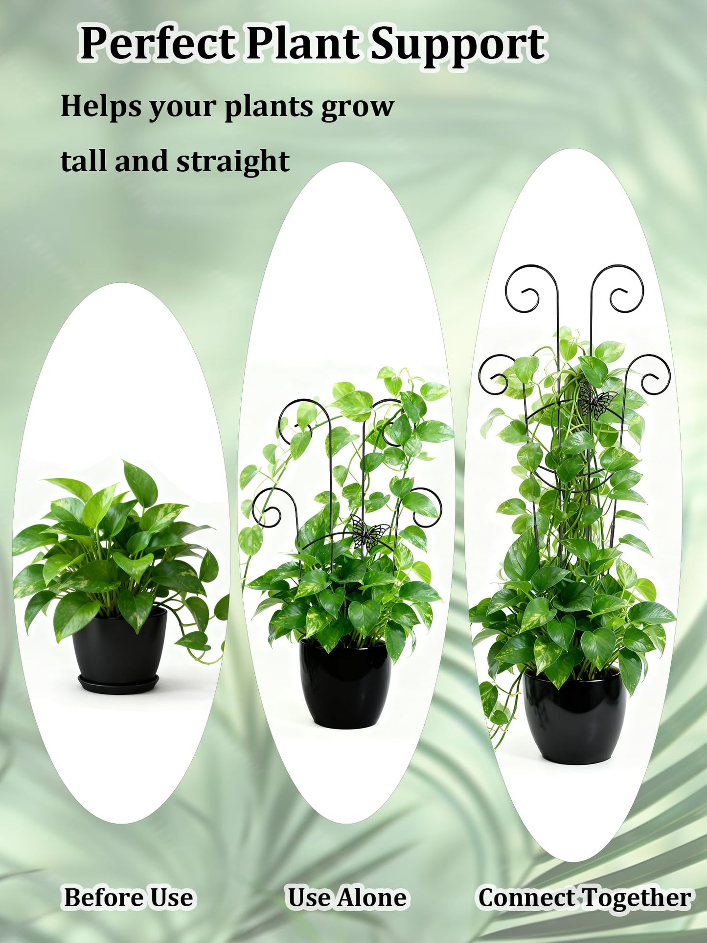 2 Pcs Tall Trellis for Potted Plants, 30'' Expandable Butterfly Shape Garden Trellis for Climbing Plants Indoor, Plant Pothos Climber Support for Monstera, Ivy, Hoya, Vine (Black)