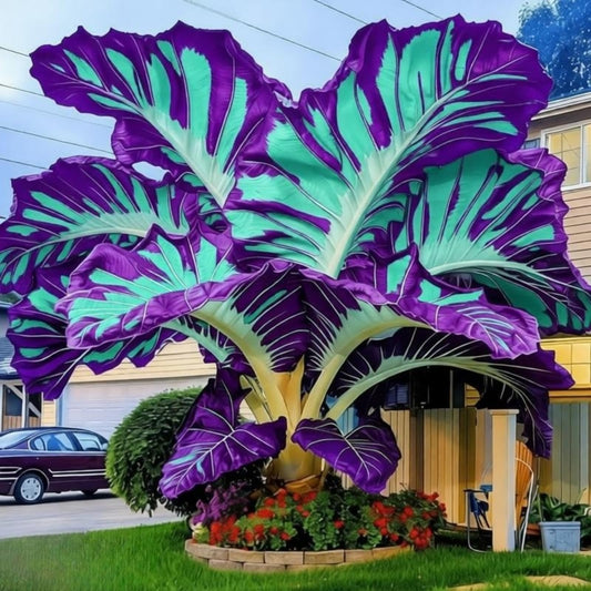 EDRHTJG Elephant Ear Large Leaf Decor Accent for Backyard Patio Garden Arrangement Soft Natural Color (6)