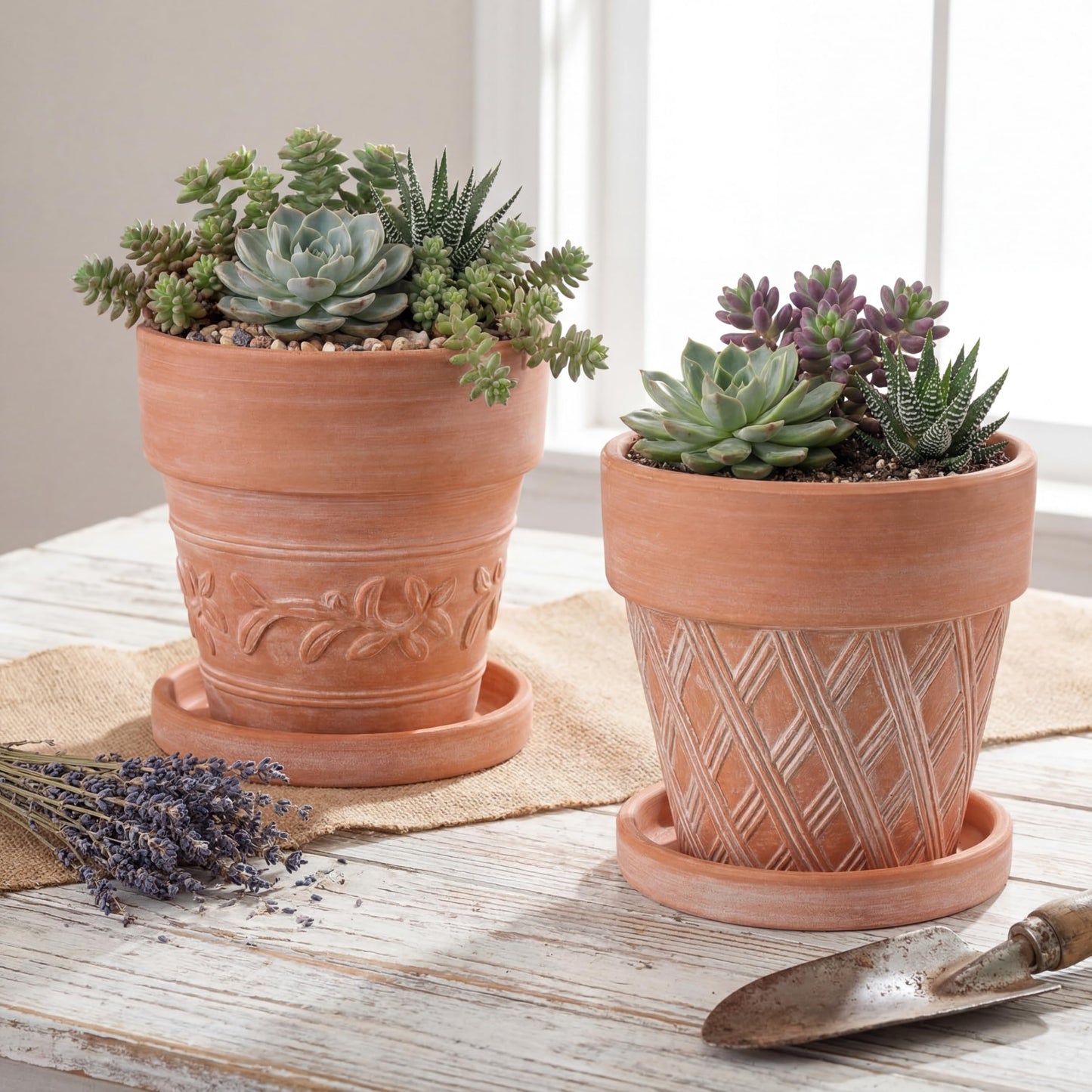 Maxdot Set of 6 Embossed Succulent Pots 4" Small Terracotta Pots with Drainage Hole Saucer Mini Rustic Clay Succulent Planter Pot Decorative Ceramic Cactu Flower Pot for Indoor Outdoor(Lattice Leaf)