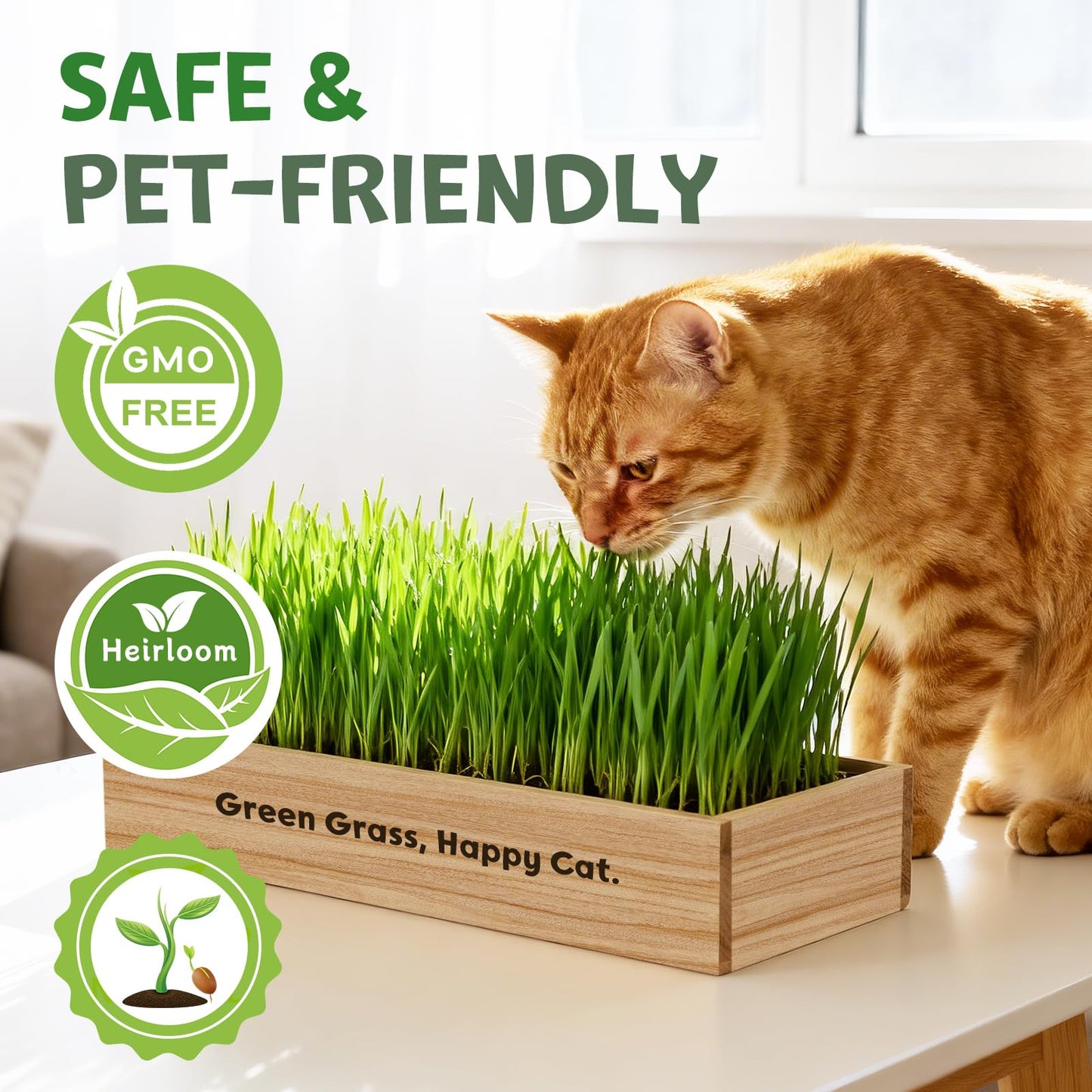 LUOJIBIE Cat Grass Kit for Indoor Cats, Cat Grass Seeds Set, Non-GMO Wheat Grass, Mother' s Day Gifts for Mom, Unique Christmas Birthday Gifts for Women Men Girl, House Warming Gifts for Cat Lover