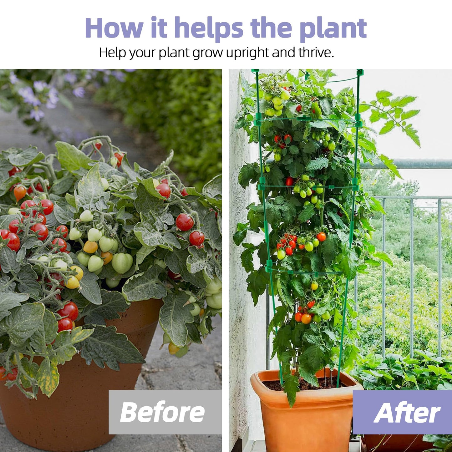 Tomato Cage for Garden- Upgrade 36 Inches Adjustable Plant Support Cage,Cucumber,Rose,Flowers,Fruit,Trellis for Climbing Plants Outdoor/Inodoor(4 Pack)
