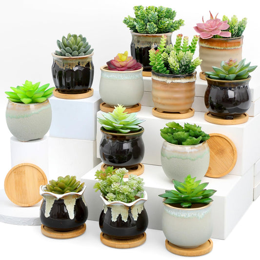 Remerry 12 Pcs Small Succulent Pots Bulk with Drainage Assorted 3.5 Inch Mini Ceramic Succulent Planters Pot with Coaster Bamboo Plant Tray Planting Pots for Home Office Garden