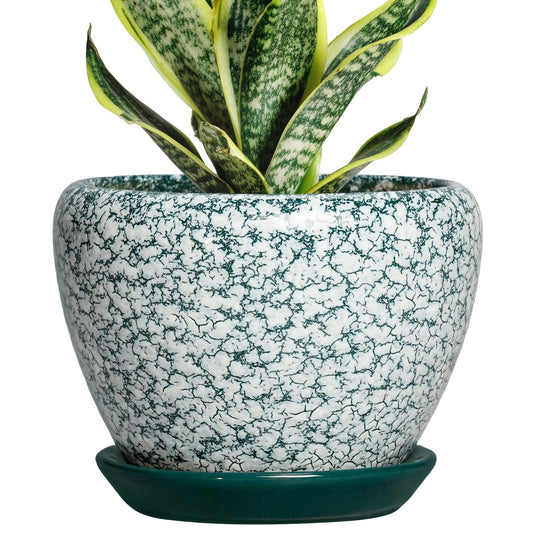 Thirtypot Ceramic Plant Pot - 6 Inch Planters for Indoor Plants, Round Succulent Pots with Drainage Hole and Saucer, Modern Decorative Plant Pots, Bathroom Decor, House Warming Gifts, Crackle Green