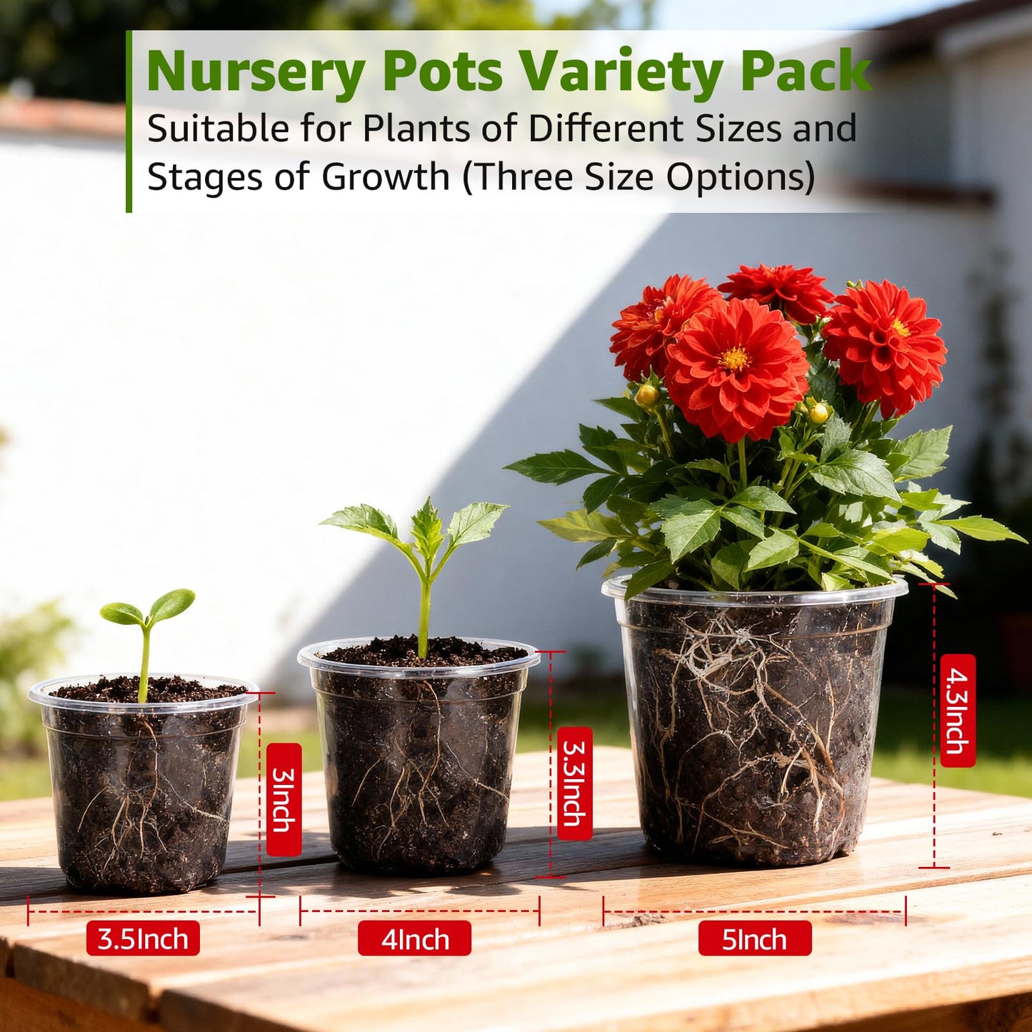 MIXC Clear Nursery Pots with Drainage Holes, 30 Pack 5/4/3.5 Inch Reinforced Transparent Plastic Seed Starter Pots, for Indoor Outdoor Gardening Seedling Planter