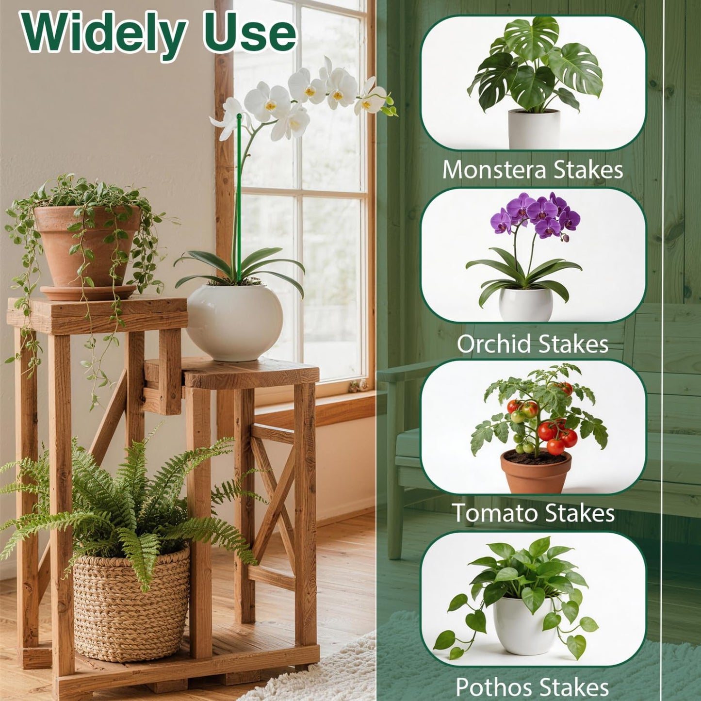 MAZUBOHOY 20Pack Plant Stakes, 16inch & 12inch Adjustable Plant Support Stake Garden Pole Sticks for Indoor/Outdoor Plants Monstera Tomato Orchid Comes with 20 Clips and Ties