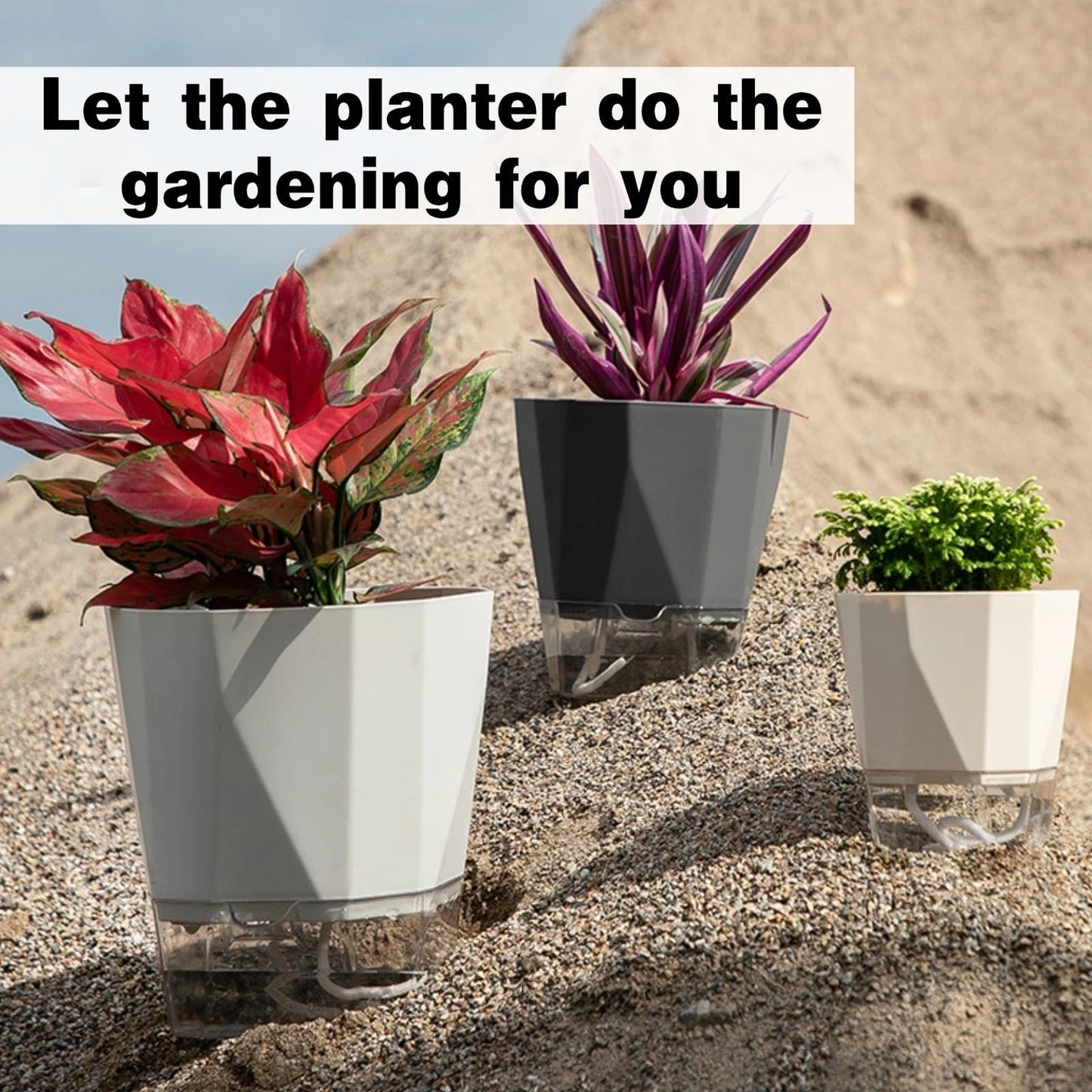 BovcTrraann 3 Packs Self Watering Plant Pots, Plastic Flower Pots with Drainage Hole and Saucer, Self Watering Planters for Indoor Outdoor Garden Plants, African Violet, Herbs (White, 6.7")