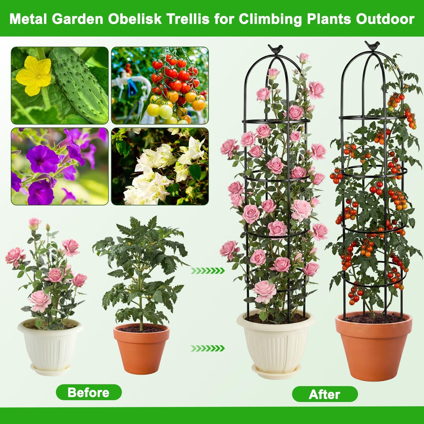 HEYTIMI 2 Pack 6 Ft Heavy Duty Metal Garden Obelisk Trellis for Climbing Plants, Rust‑Resistant Black Steel Vine Support for Rose Clematis Jasmine, Potted Flower Stand Indoor & Outdoor Decor (Bird)