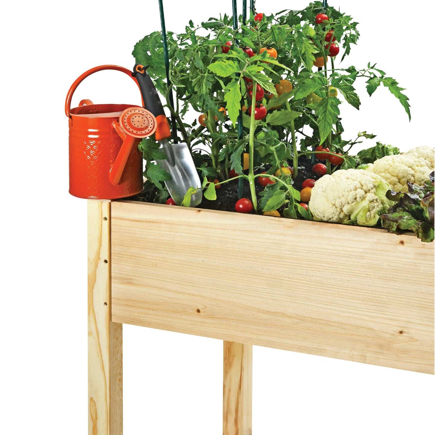 Maple99 Raised Garden Bed with Legs 48x24x30 - Natural Cedar Wood Elevated Planter Box with Bed Liner for Flowers, Veggies, Herbs - 200lb Capacity