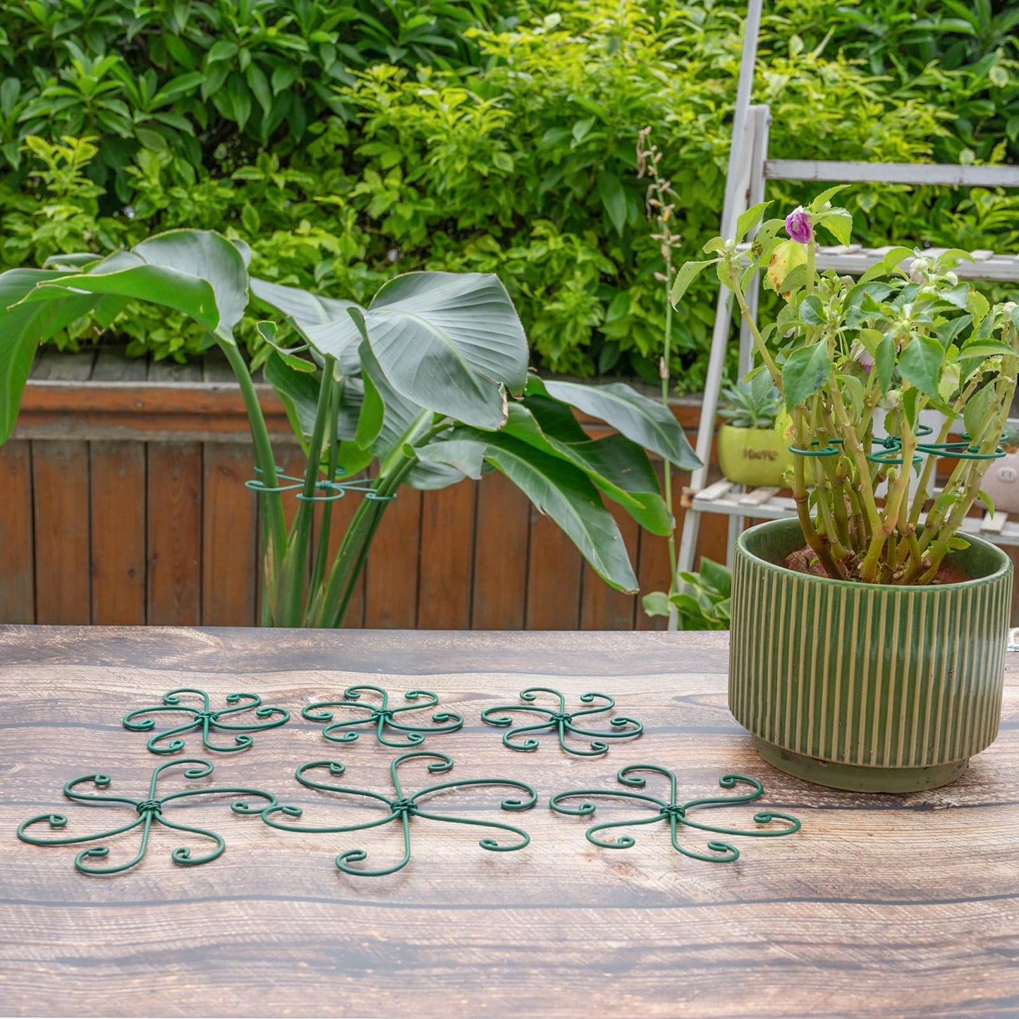 Yohsnor 5PCS Monstera Plant Support Hook - 4.1 * 4.4IN, Durable Flexible Stabilizers for Indoor Plants, Metal Stem Supports and Leaf Holders, Easy Tool-Free Operation, Ideal for Fishbone Cactus Care