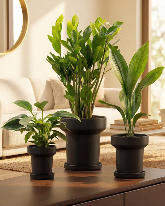 Bamworld Plant Pots Indoor with Drainage Holes- Set of 3 Pots for Plants(4.9/5.9/7.8Inch) Plastic Flower Pot Planters for Indoor Outdoor Plants Garden Pots for Room & Office Décor Black