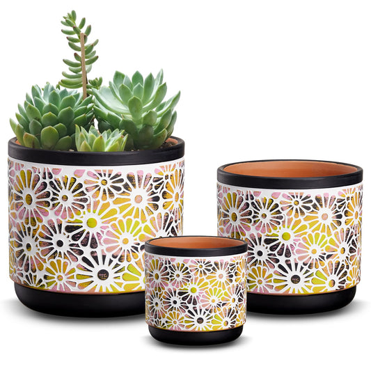 Qipecedm 3 Piece Ceramic Plant Pots, 5.7/4.7/3.5/inch Planters with Drainage Hole, Outdoor Indoor Flower Pots Set, Modern Decorative Plant Pots for Lilies, Cacti, Succulents, Snakes, Bamboo(Black)