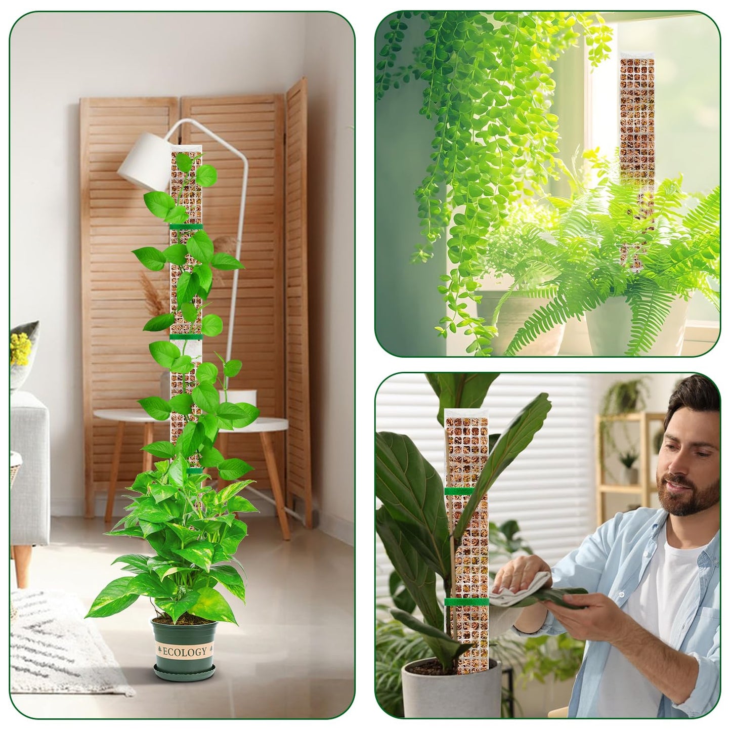 YSKS 4 Pcs 24-inch Plastic Moss Poles for Plants ，Moss Poles for Climbing Plants, Indoor Plant Support Work with Sphagnum muss