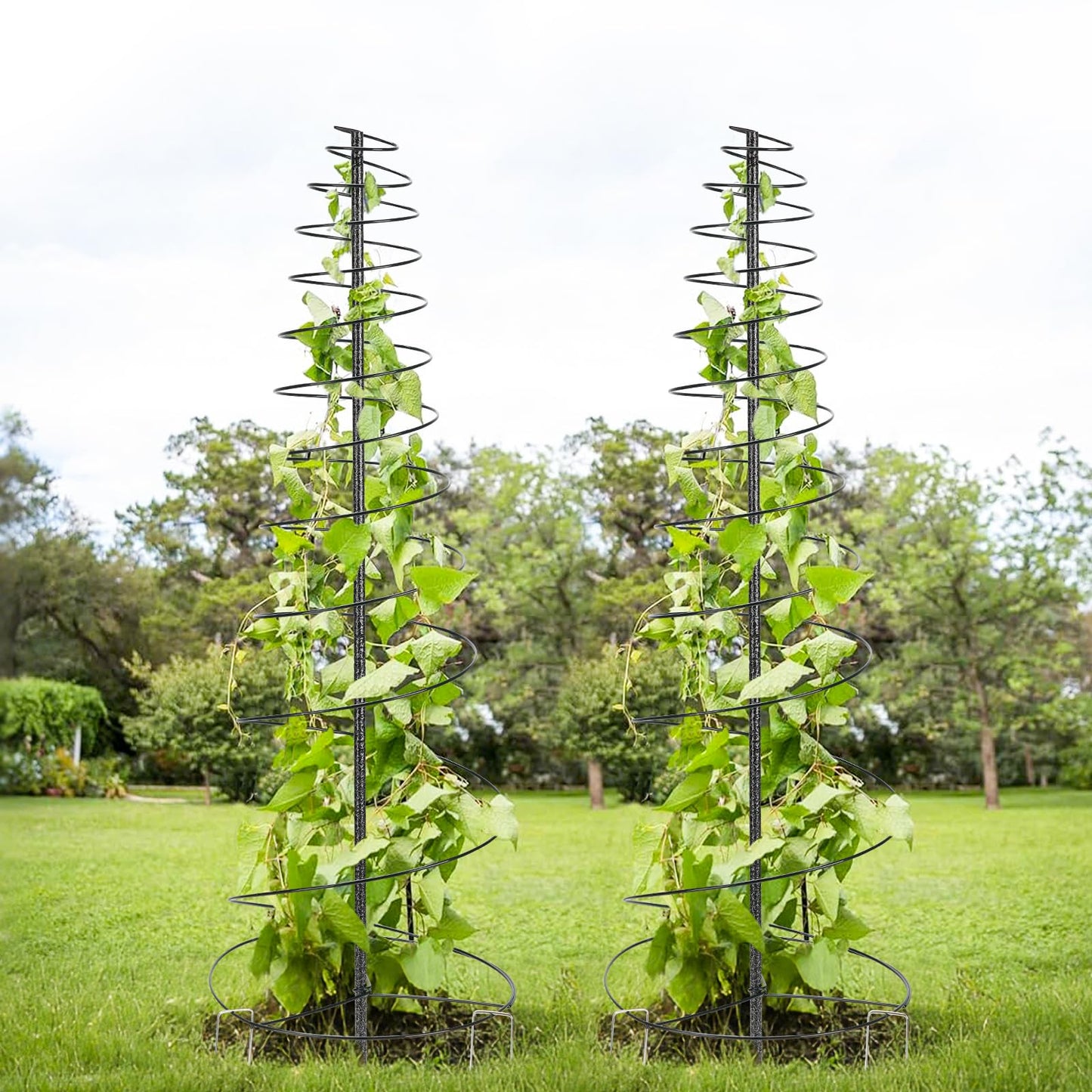 Trellis for Climbing Plants Outdoor or Indoor,2 Pack 73inch Tall Garden Trellis for Climbing Plants,Metal Plants Trellis Support for Vine Vegetables,Flowers