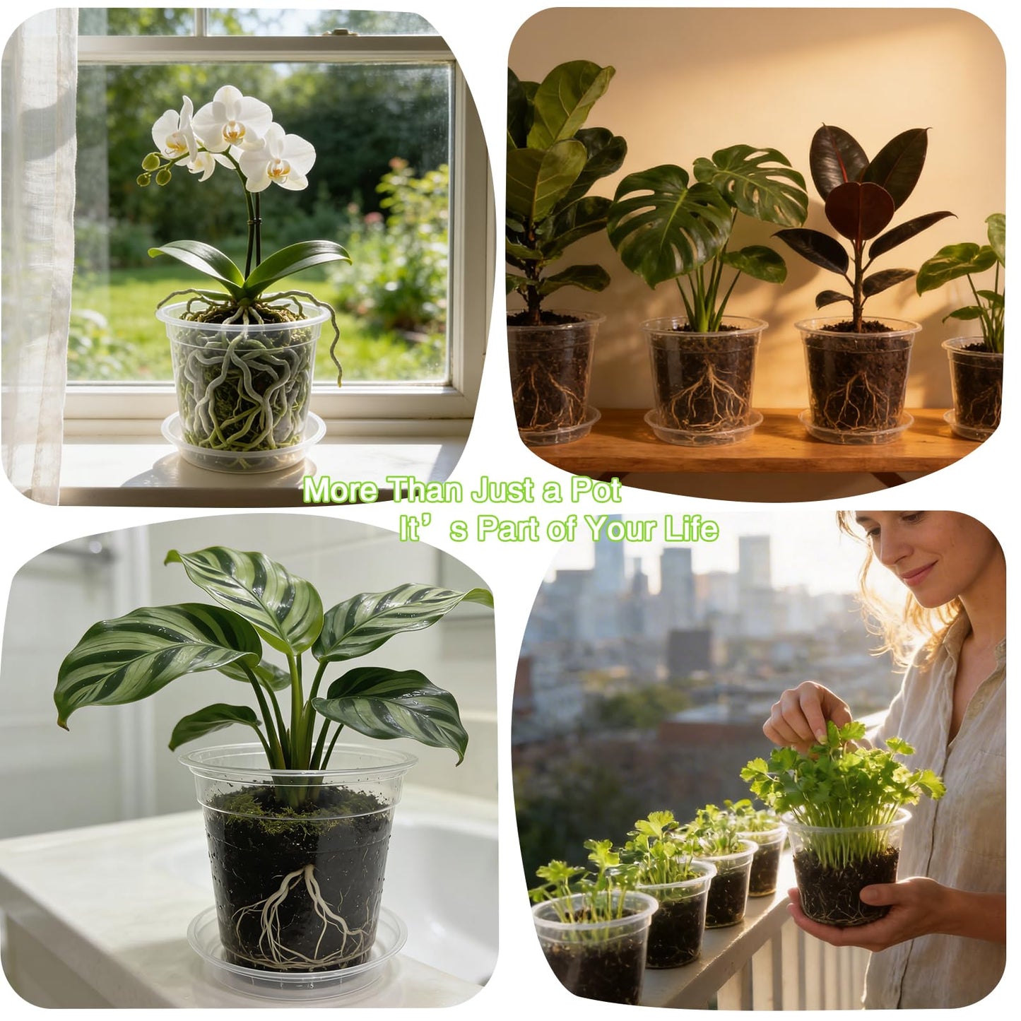 Clear Nursery Pots with Saucers 24 Pack, 4/5/6/7 Inch Plastic Plant Pots, for Indoor Outdoor Succulents Orchids Seedlings, Flower Containers with Drainage Holes and Tray, Small Garden Planters