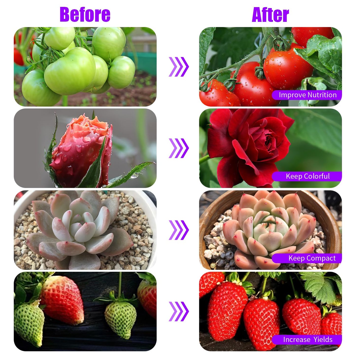 Grow Lights Upgrade 168 LEDs Clip Plant Lights for Indoor Plants, Full Spectrum White+ Red LED Plant Growing Lamps with Flexible Gooseneck, 3/9/12H Timer, 3 Spectral Modes, 10 Dimmable Levels 2 Pack