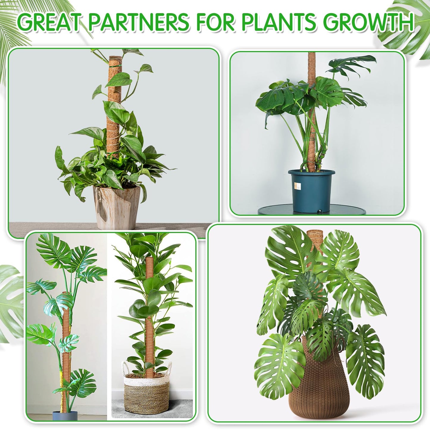 ROADPLUM 4 Pack 21.7" Coco Coir Poles, Stackable Plant Stakes Moss Pole for Plant Monstera with Twist Ties Plant Ties Labels Jute Rope, Plant Sticks Support for Climbing Plants Growth Indoor