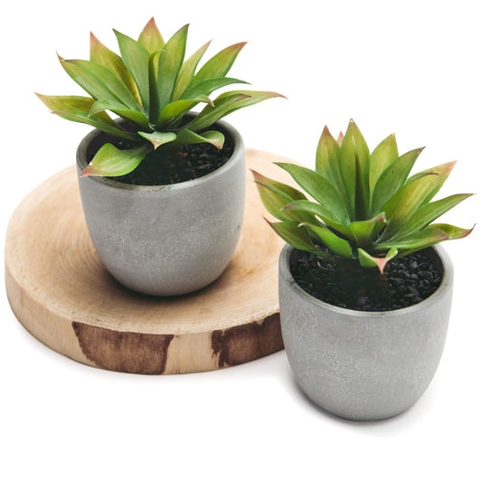Kurrajong Farmhouse Artificial Plants Indoor | Set of 2 Fake Plants for Desk Decor | Artificial Succulents in pots | Fake Succulents| Faux Plants Indoor | Faux Agave for Shelf Decor