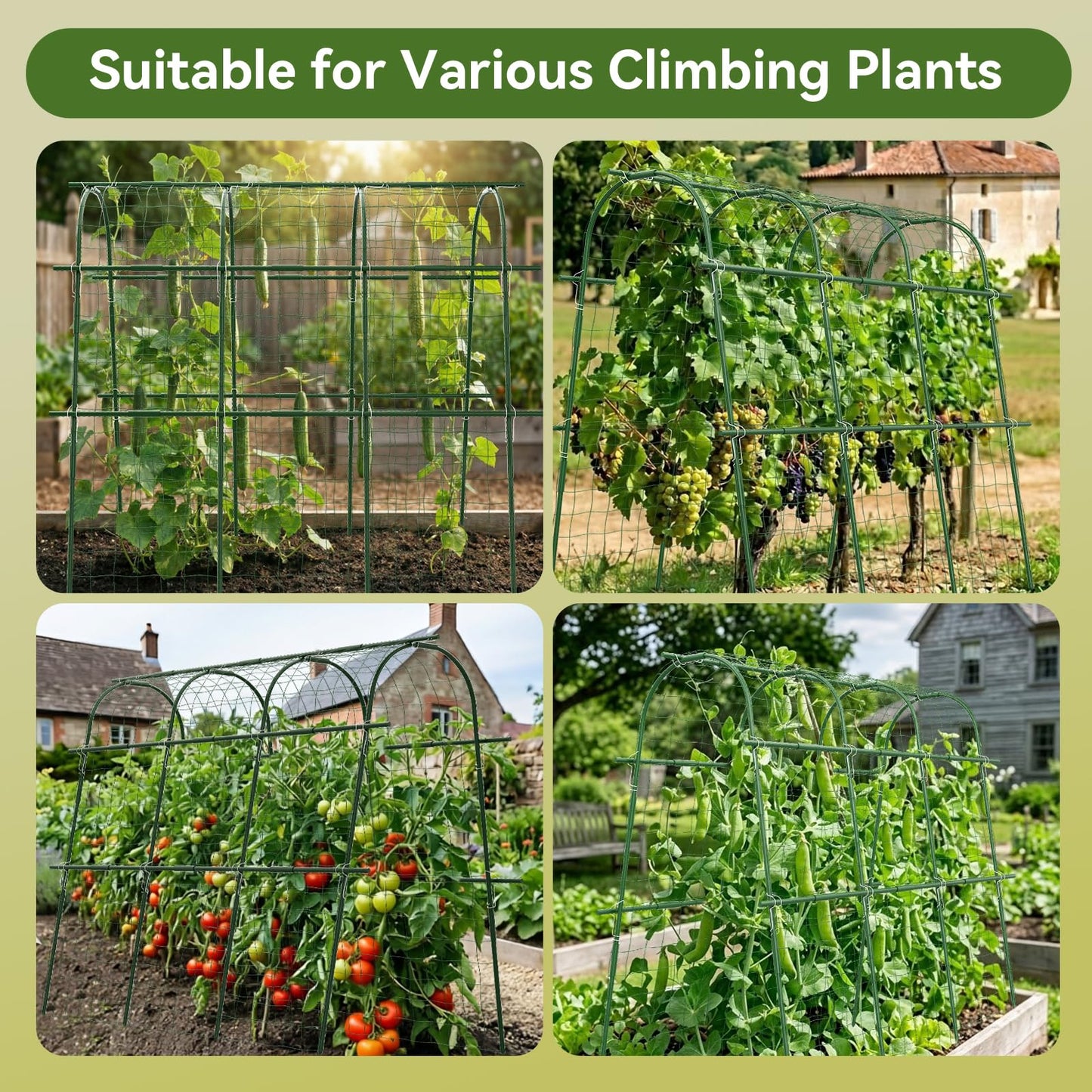 2 Pack 65"×48" Cucumber Trellis for Raised Bed, U-Shape Garden Trellis for Climbing Plants Outdoor, Metal Arch Vegetables Trellis, Detachable Cucumber Plant Support for Tomato,Squash