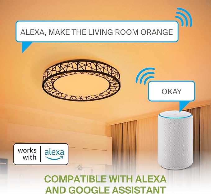 ASD 12 Inch Smart RGBW Flush Mount Ceiling Light with Remote - Matte Black 20W 120V 2700-6500K Dimmable Ceiling Light Fixture, WiFi App Control RGB Lights, Alexa & Google Assistant - ETL, 4 Pack