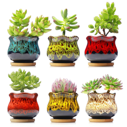 Fulloog Cute Ceramic Succulent Planters, Garden Pots with Drainage and Attached Saucer, Set of 6 - Plants Not Included