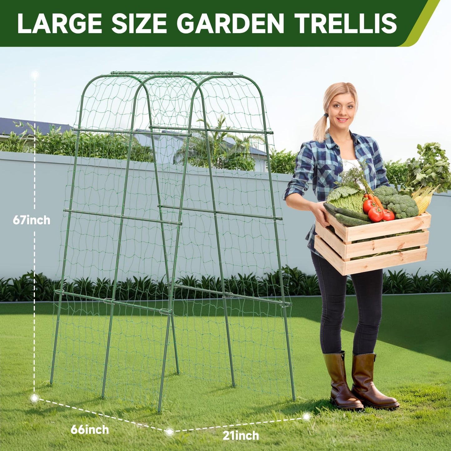 HIRALIY Cucumber Trellis for Climbing Plants Outdoor, 5.6ft Tall Heavy Duty Metal Garden Arch Trellis, Rustproof Plant Support Tunnel for Tomato, Grape, Bean, Raised Bed and Vegetable Gardens, Green