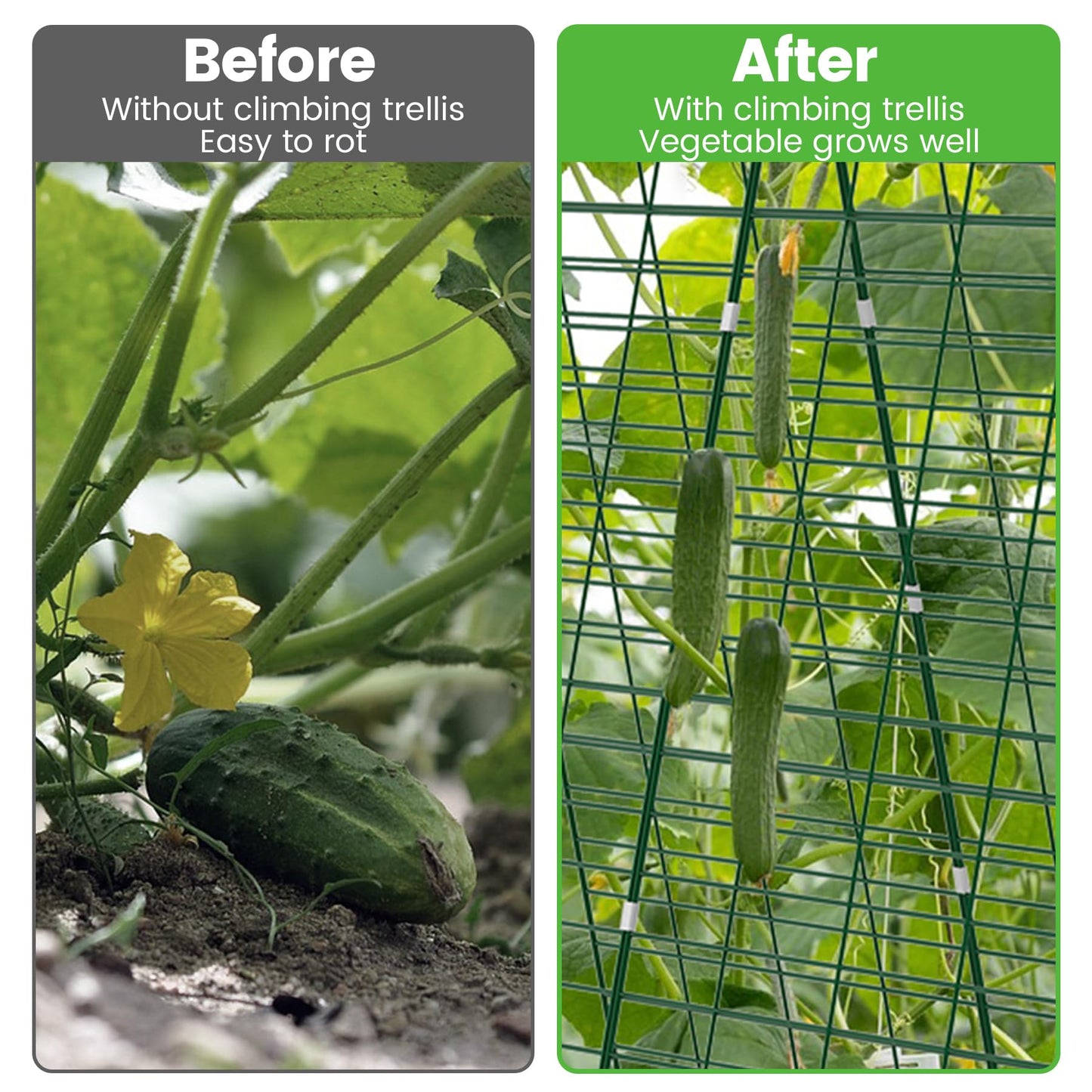 Toriexon Foldable Cucumber Trellis - 2 Pack, 48" L x 34" W A-Frame Trellis, Climbing Plants Support Raised Bed Trellis with Twist Ties & Plant Bags for Outdoor Yards Gardens