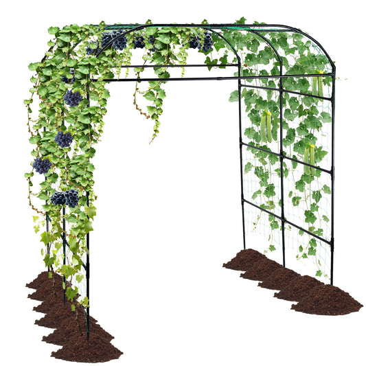 yotoworth Garden Arch Trellis for Climbing Plants Outdoor, Grape Vine Tomato Bean U Frame Plant Vegetable Support, Cucumber Pergola for Backyard, Black