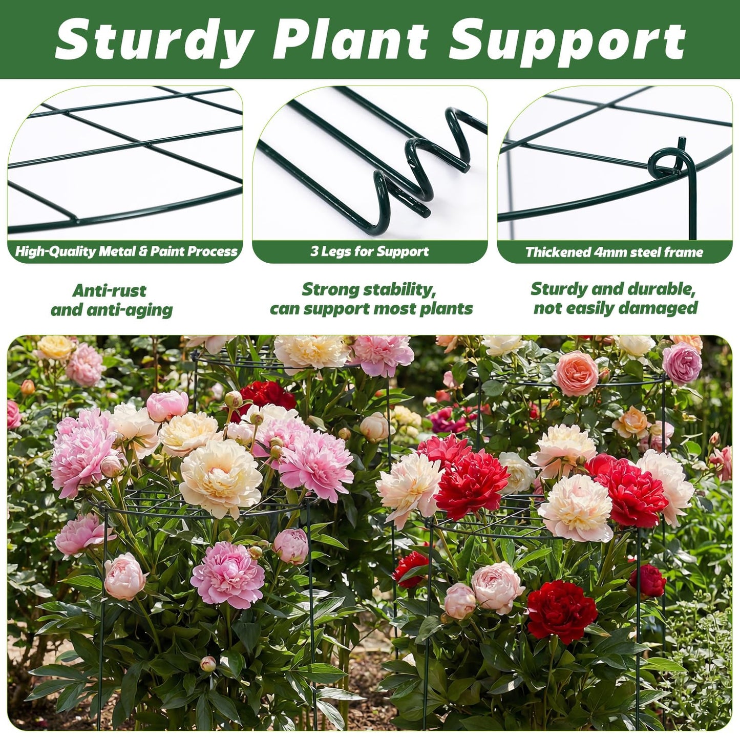 Sunnychicc 4 Pack Round Peony Cages and Supports 12 x 16 Inches (D x H) Grow Through Grid Plant Brace Plant Support Stake Heavy Duty Metal Flower Support Rings for Rose Tomato Hydrangea Strawberry