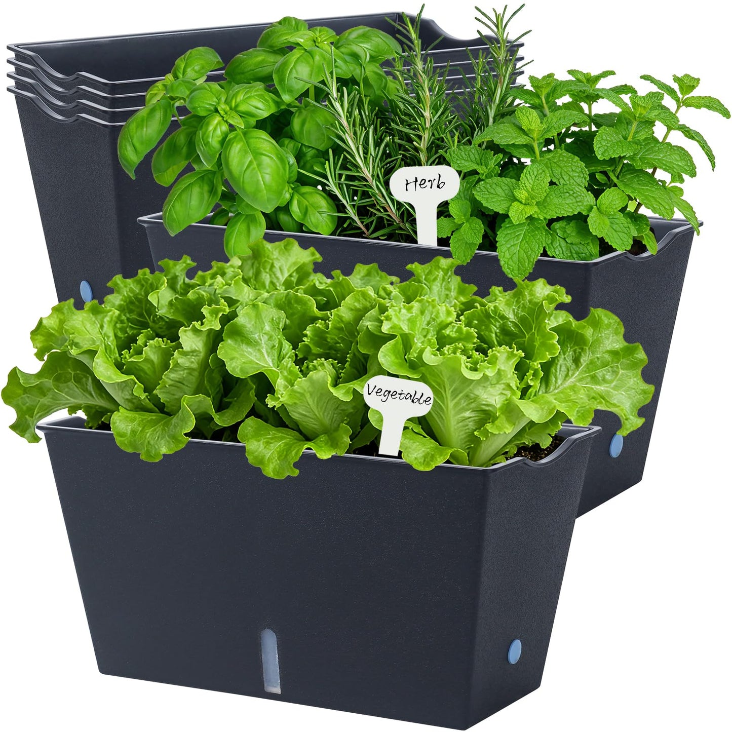 Window Box Planter 6 Pcs, 12.1 Inches Self Watering Plant Pots Rectangle Flower Pots with Drainage Holes and Breathable Trays, Vegetable Planters for Windowsill Patio Garden Balcony Porch Yard (Black)