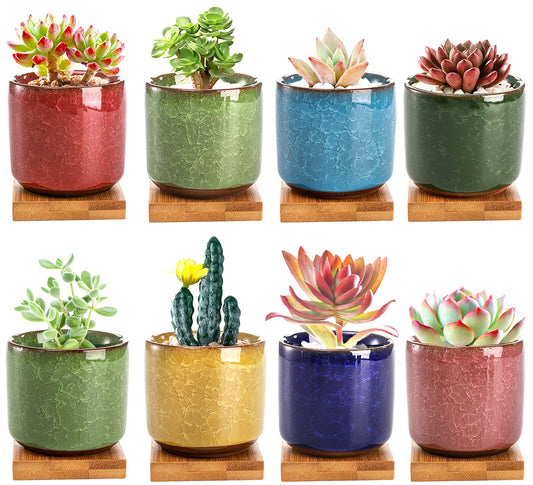 Lawei 8 Pack 2.5 Inch Mini Succulent Plant Pot with Drainage and Bamboo Tray, Small Ceramic Cactus Plant Pot, Flower Pots Faux Plants Containers for Home Garden Office Decoration(Plants NOT Included)