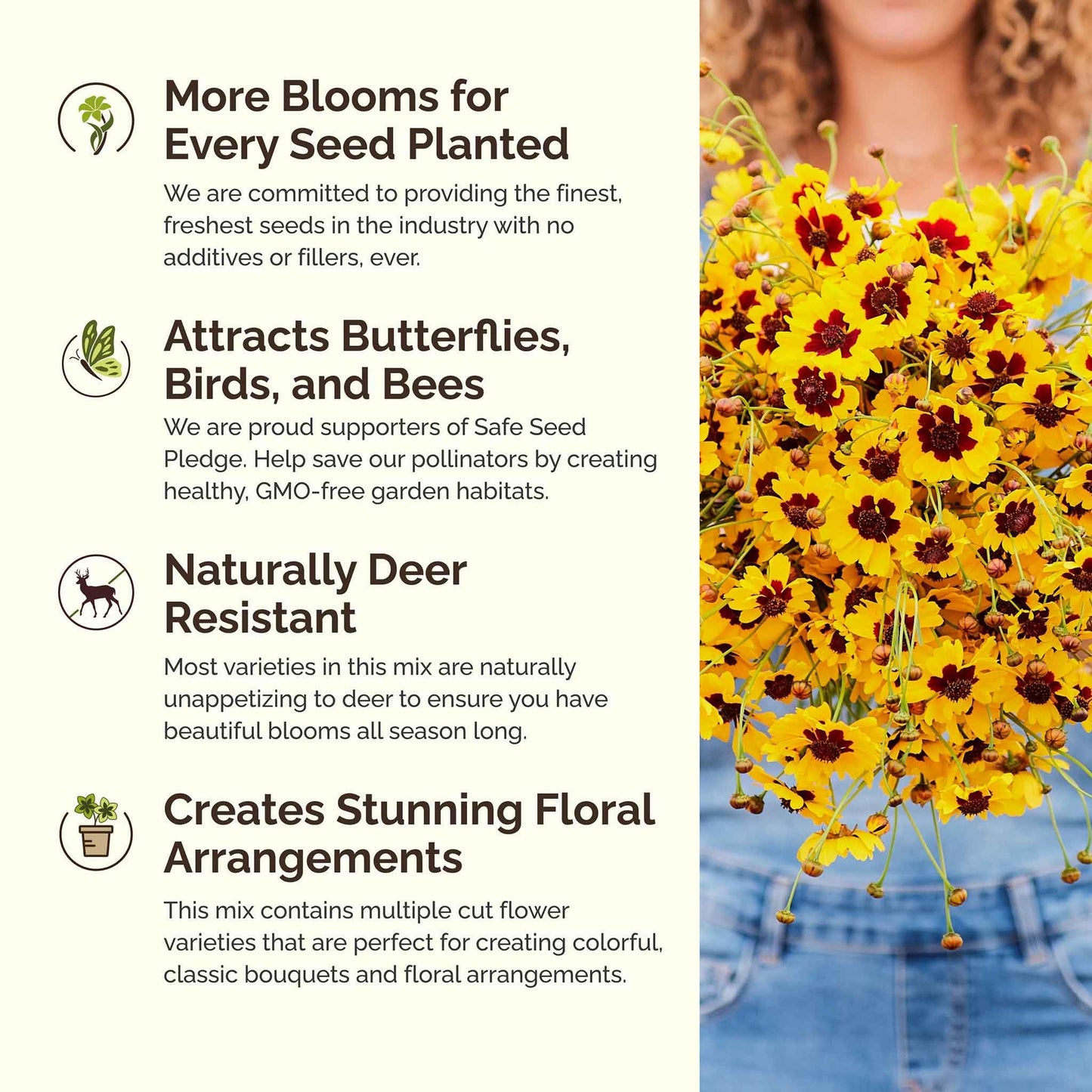 Eden Brothers All Annual Wildflower Mixed Seeds for Planting, 1/4 lb, 120,000+ Seeds with Sunflower, Indian Blanket, Scarlet Flax | Attracts Pollinators, Plant in Spring, Zones 3, 4, 5, 6, 7, 8, 9, 10