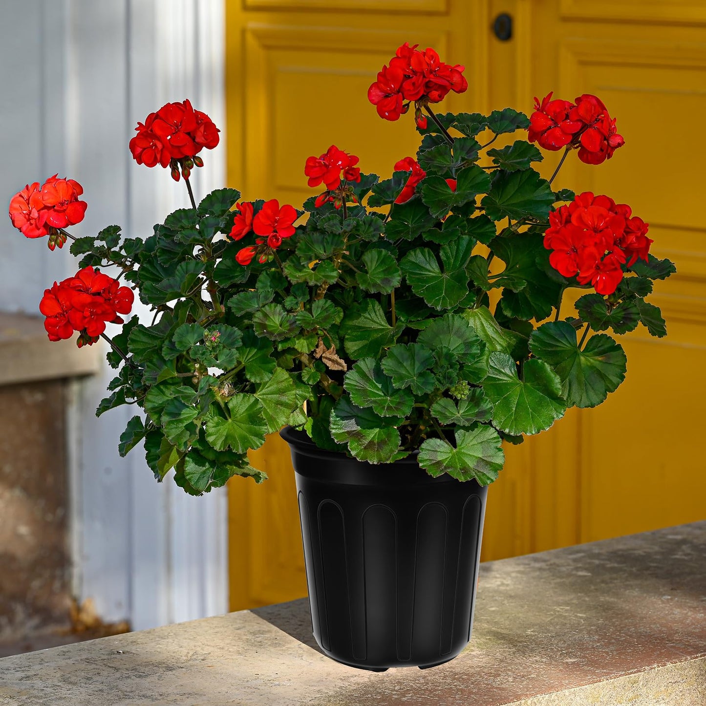 BeapTcely 100 Pcs 1 Gallon Nursery Pots, Flexible Plant Seedling Pots Transplanting Soft Plastic Planters with Drainage Holes for Planting Garden Flower Plant Container Cups Planter (100, 1 Gallon)