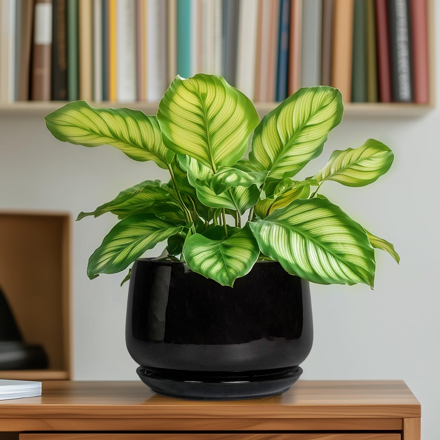 G EPGardening 6 Inch Planter - Ceramic Pot for Plants, Ceramic Planter with Drainage and Saucer, Round Flower Pot Indoor Outdoor, Modern Room Decor, Home Gifts, Black