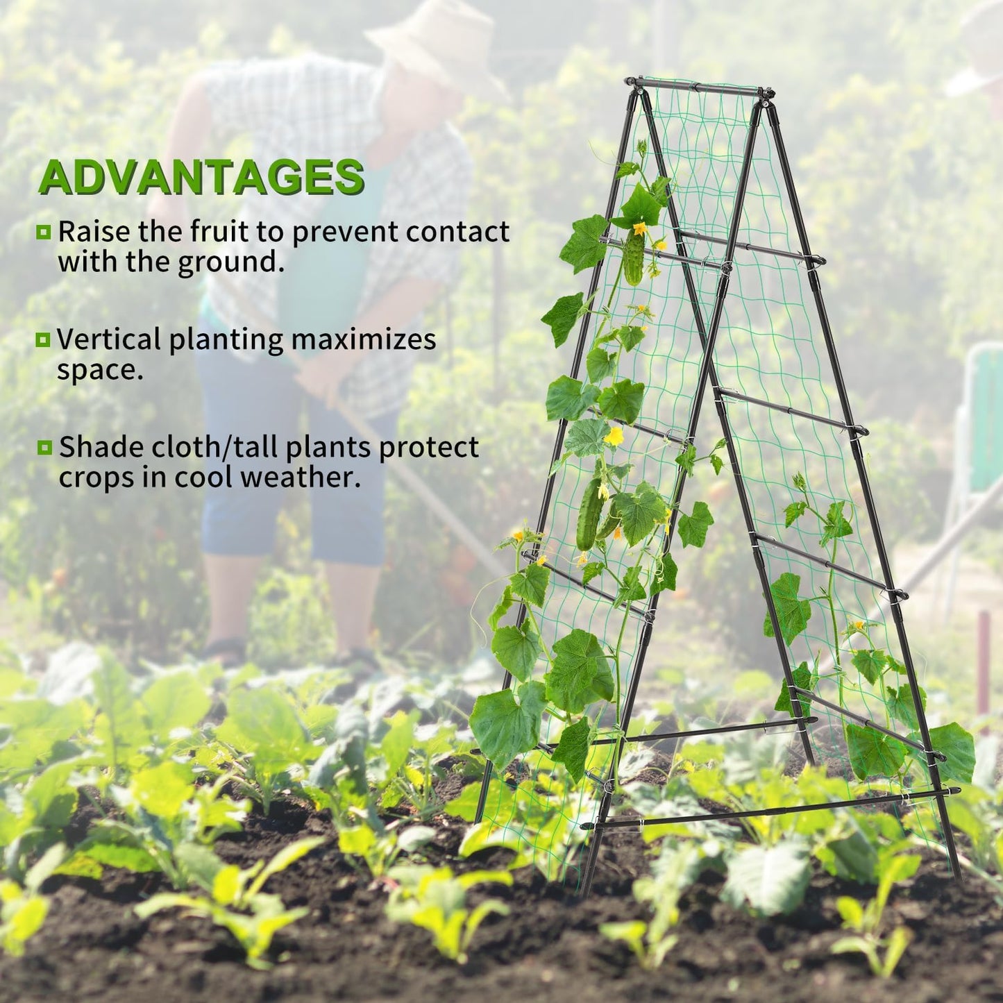 Yotoworth Garden Trellis for Climbing Plants, 71" H x 32" W Metal A-Frame Cucumber Trellis Outdoor Fruits Watermelon Plants Vegetable Tomato Squash Peas Beans, with Netting, Black