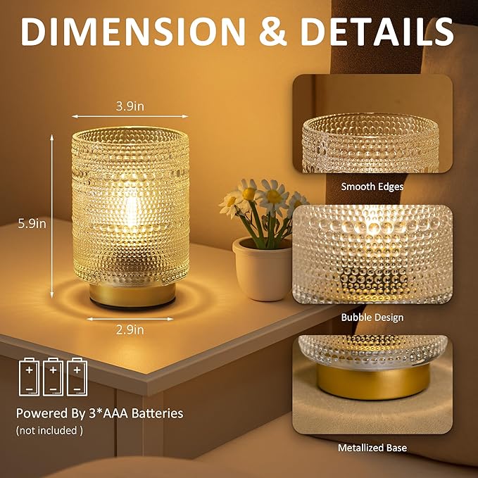 2 Pack Battery Operated Decorative Lamp with Timer for Bedside,Small Cordless Table Lamps with LED Warm Bulb for Shelf/Coffee Table/Entryway/ Bathroom or Kitchen Counter/ Dorm/Office Cubicle(Clear)
