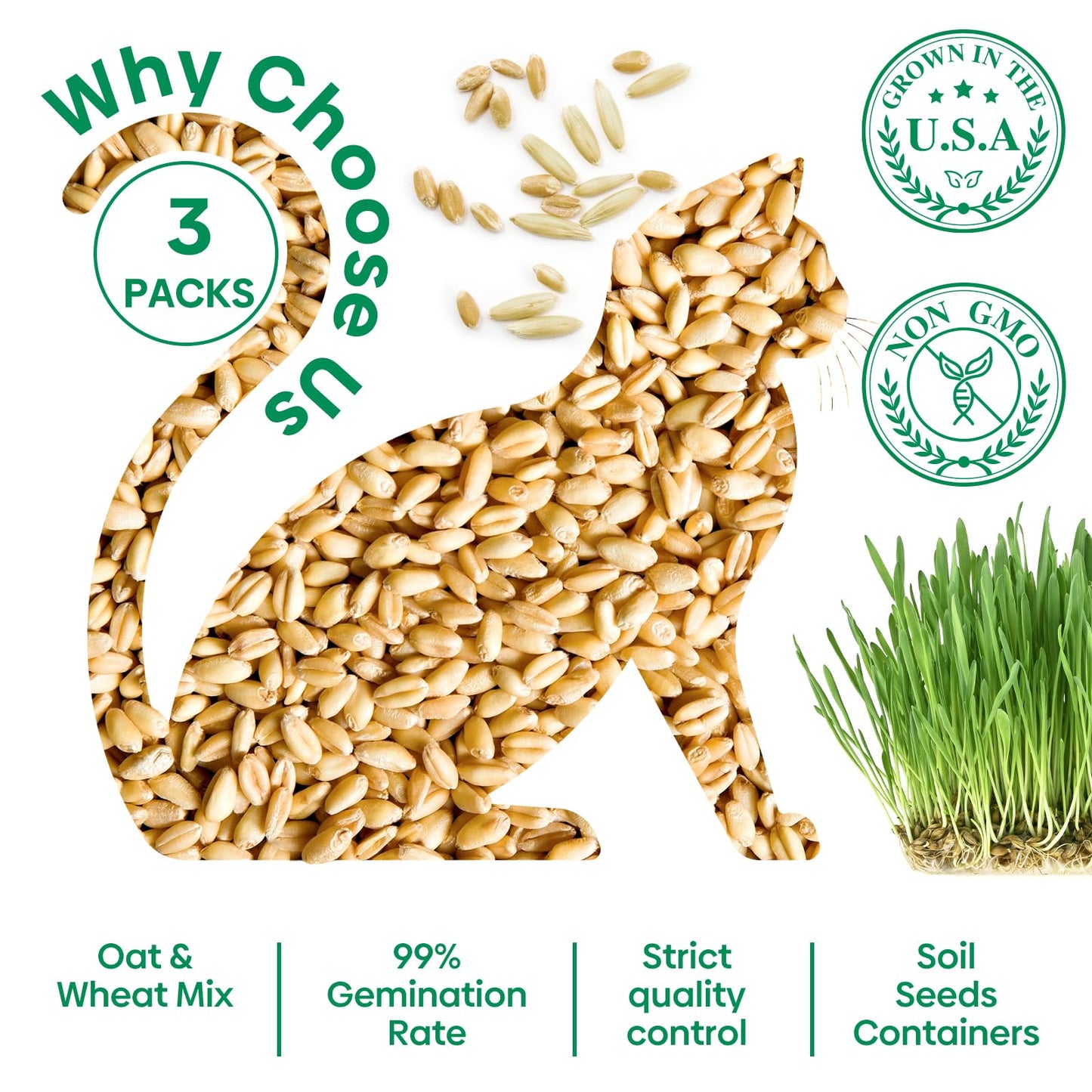 Groundio Cat Grass Seeds, All in 1 Cat Grass Growing Kit for Indoor Cats, Organic Wheat & Oat Seed with 98% High Germination Rate, Heirloom | Non-GMO | Coco Coir | BPA Free Container