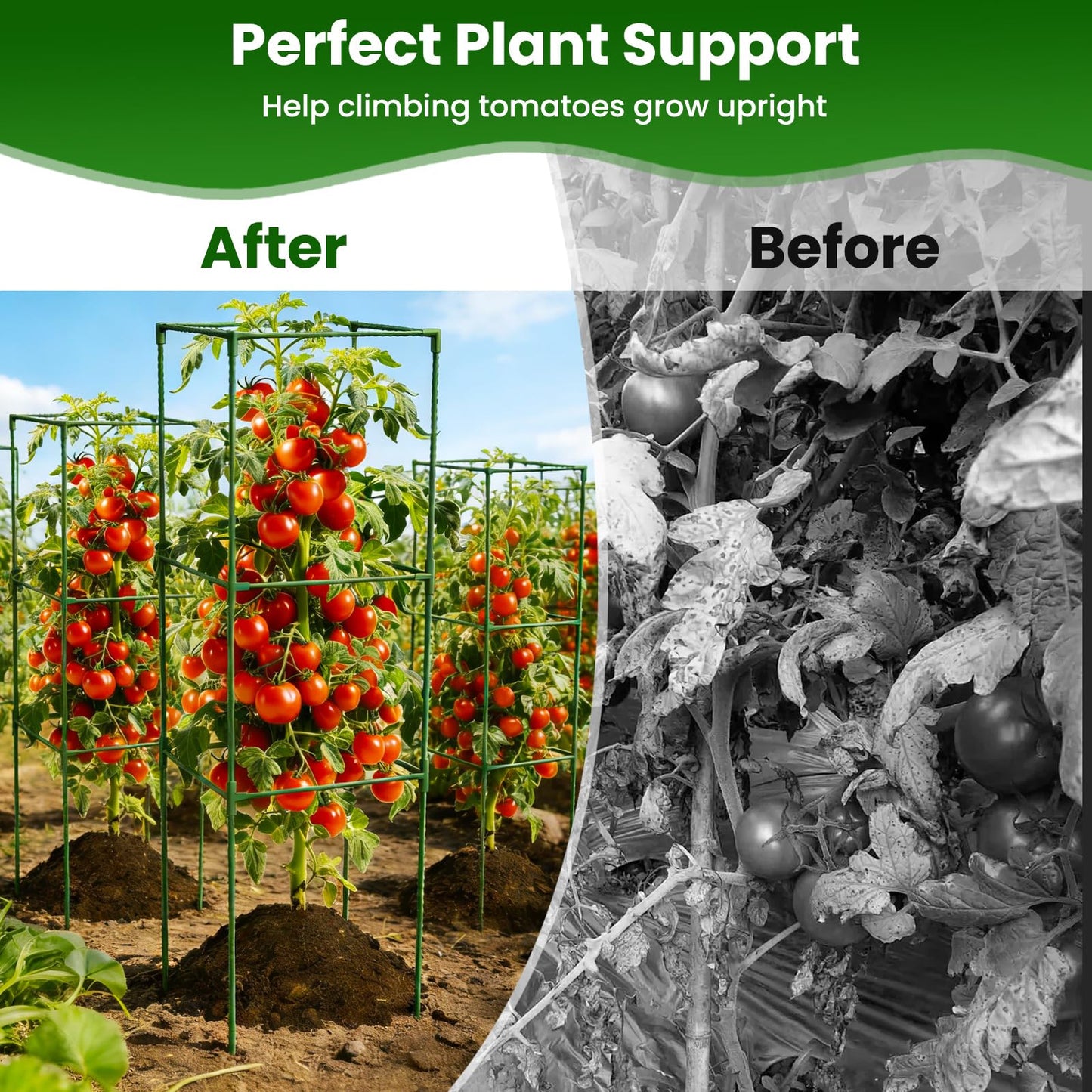 5 Pack Tomato Cages, 48'' Tall Tomato Plant Stakes Support for Raised Garden Bed Tomato, Square Trellis Cages for Garden Climbing Vegetables Flowers Fruits