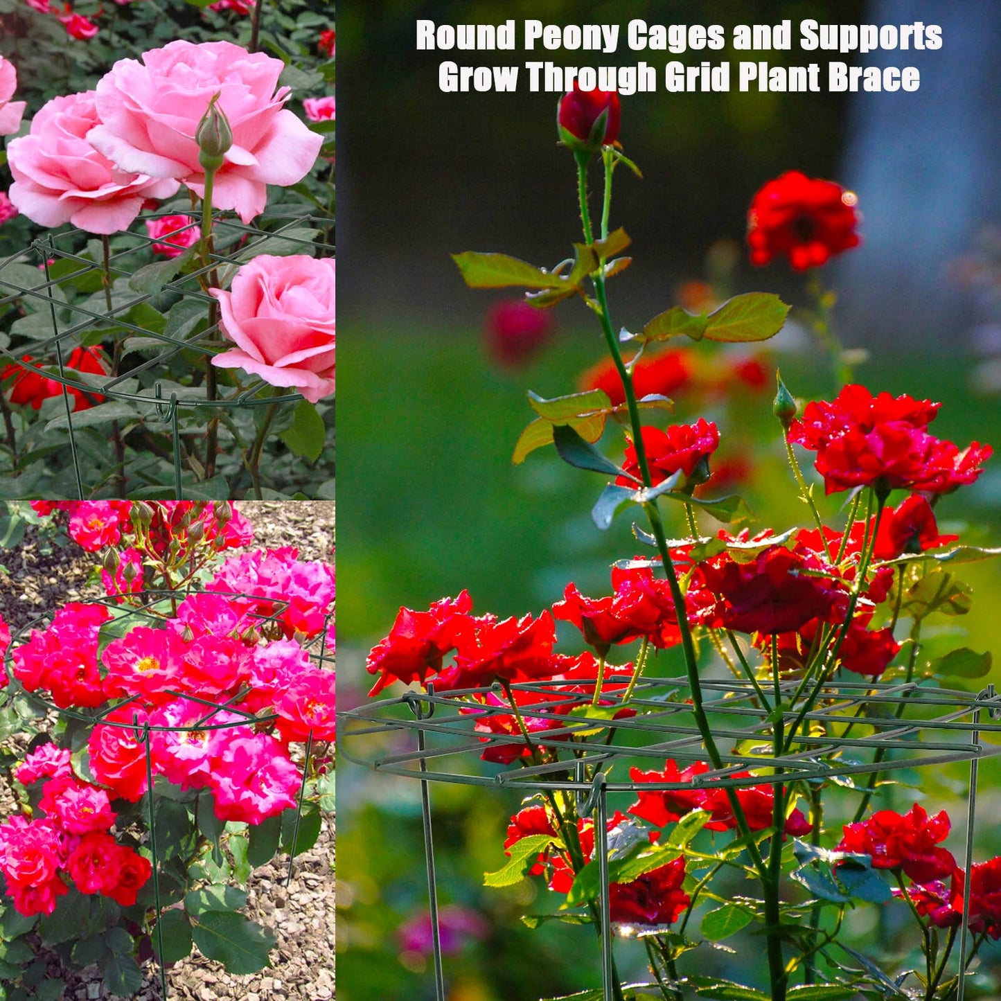 2 Pack Round Peony Cages and Supports Grow Through Grid Plant Brace,18 inch Heigh Plant Support Stake for Small Plant Flower Vegetable (2pcs 18“)