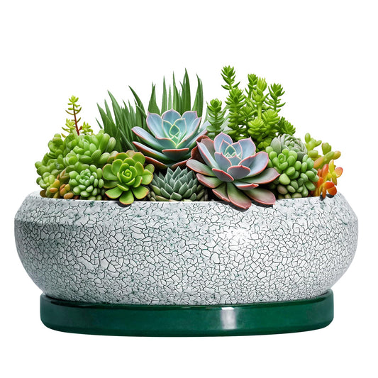 EPFamily Succulent Planters 10 Inch - Ceramic Bonsai Pots with Drainage Hole and Saucer, Large Succulent Pots Indoor, Shallow Planter, Round Bowl Planter Outdoor, Patio Decor, Plant Lover Gift, Green