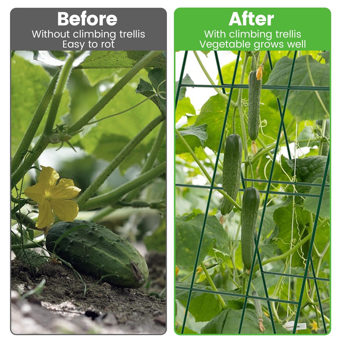 Toriexon Foldable Cucumber Trellis - 4 Pack, A-Frame Garden Trellis 46" L x 18" W, Steel Climbing Plants Support Raised Bed Trellis with Twist Ties & Plant Bags for Climbing Plants Outdoor