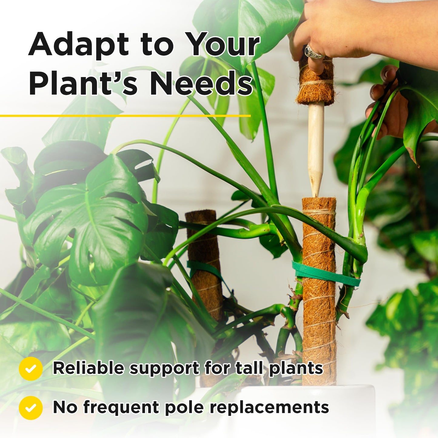 Casita Coco Coir Plant Moss Pole - Indoor Plant Support, Climbing Poles - 3.81x3.81x15.9 inches, 4 Pieces