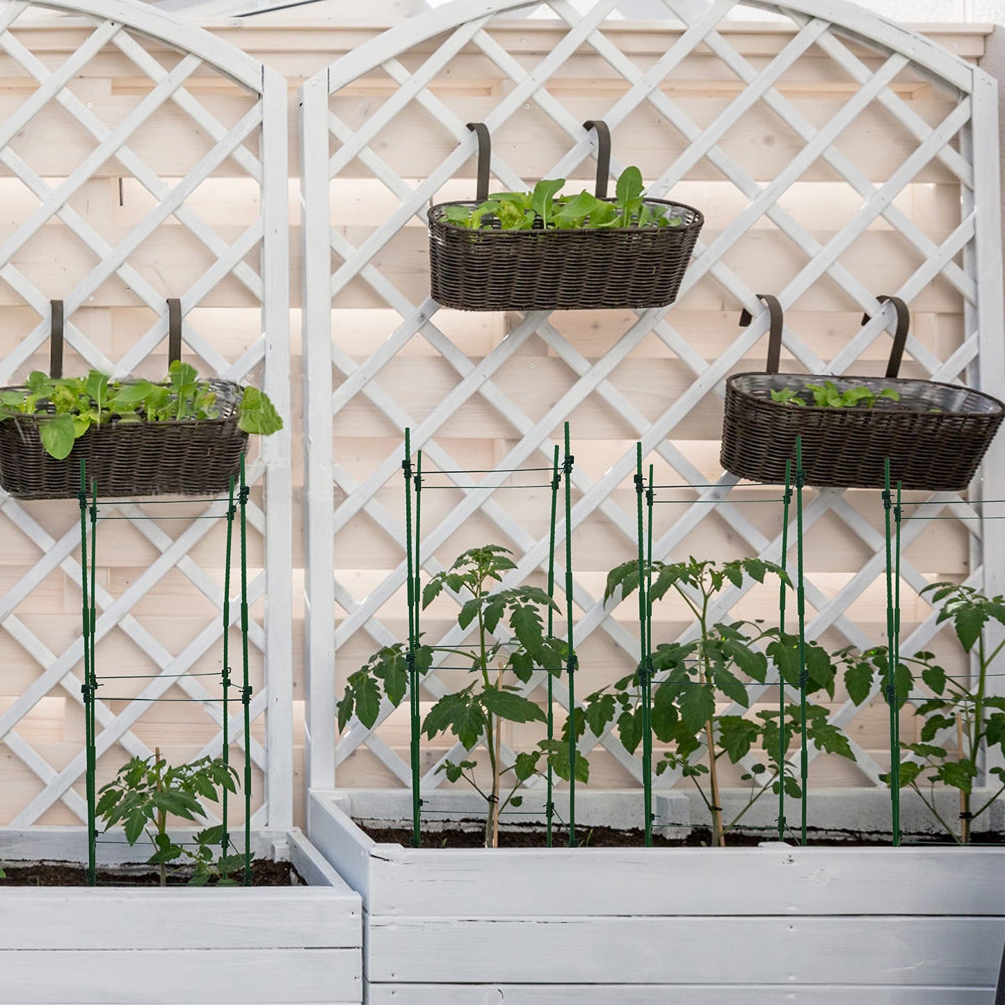 Gardzen Multi-use Tomato Cage Plants Support, Trellis Climbing Cage Stand for Pepper Eggplant Tomato Flowers