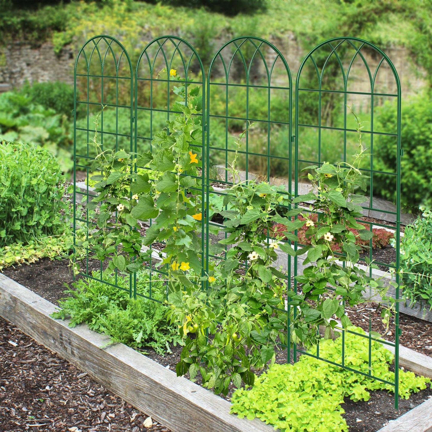 4 Pack Metal Garden Trellis for Climbing Plants, 71 Inch Green Metal Garden Trellis for Vines Plant Rose Vegetable Support,Large Decorative Outdoor Trellis