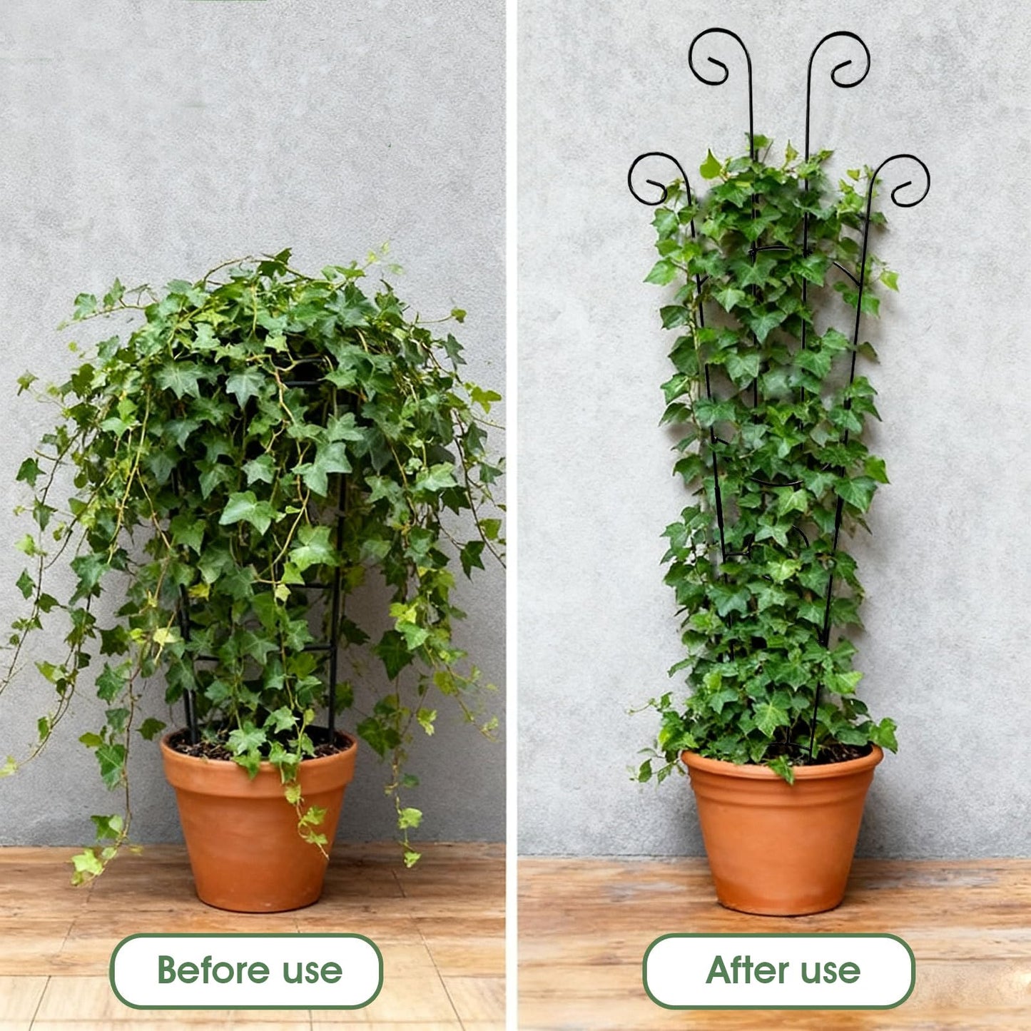 Trellis for Climbing Plants Indoor, 2 Pack Black Metal Trellis for Potted Plants, Adjustable Indoor Plant Support Monstera, Pothos, Ivy (32.7 Inch Tall)